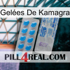 Gelées De Kamagra new15